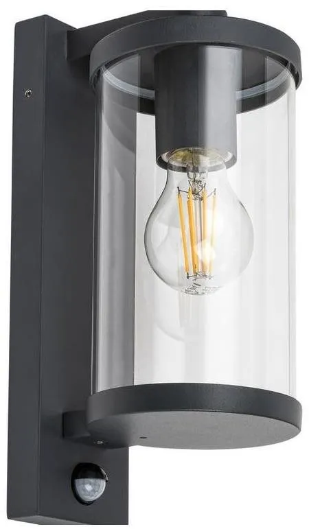 Nástenná lampa Rabalux - Vonkajšie nástenné svietidlo so senzorom 1xE27/60W/230V IP44