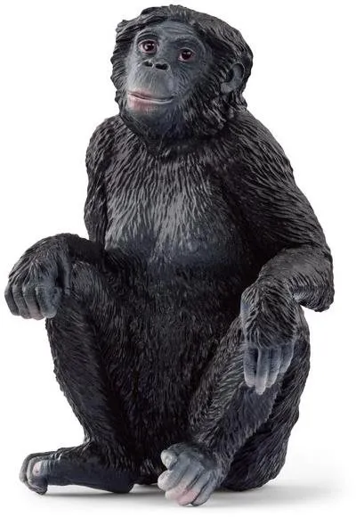 Figúrka Schleich Samica šimpanza Bonobo 14875