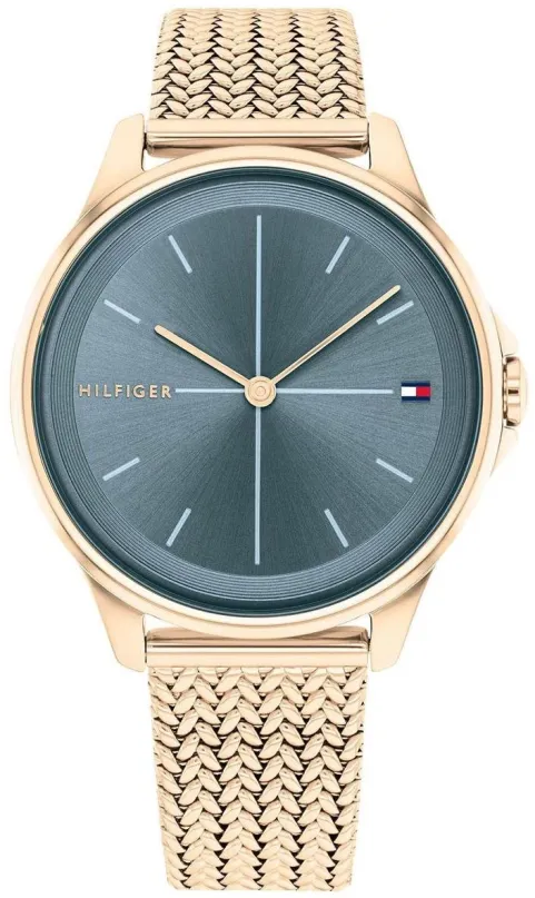 Dámske hodinky TOMMY HILFIGER model DELPHINE 1782356