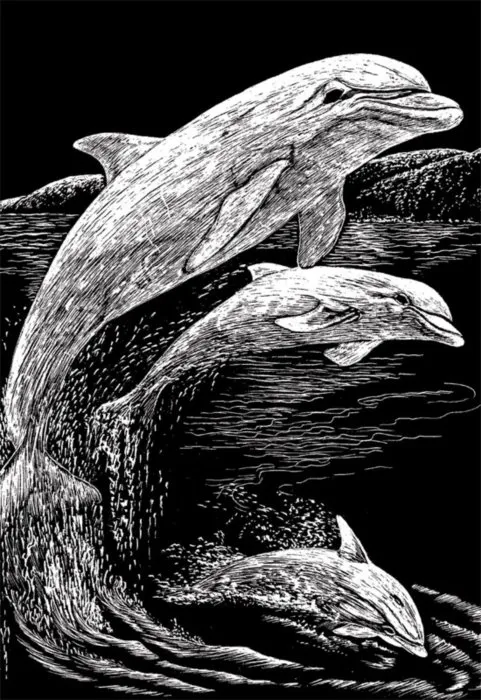 Strieborný škrabací obrázok Skákajúce delfíny