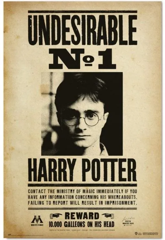 Plagát Harry Potter - Nežádoucí No.1 - plagát