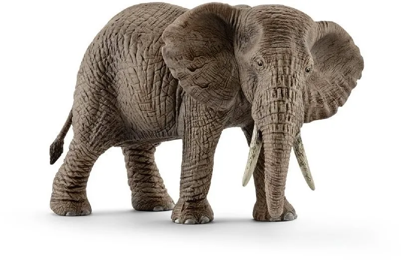 Figúrka Schleich Samica slona afrického 14761