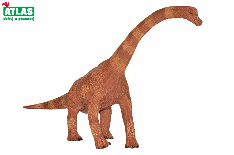 G - Figúrka Dino Brachiosaurus 30 cm