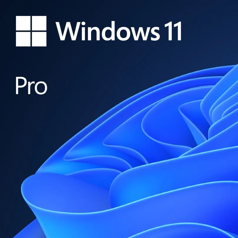 Operačný systém Microsoft Windows 11 Pro EN (OEM)