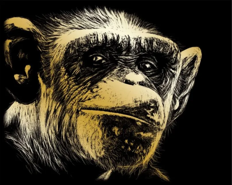 ROYAL & LANGNICKEL Zlatý škrabací obrázok Opice
