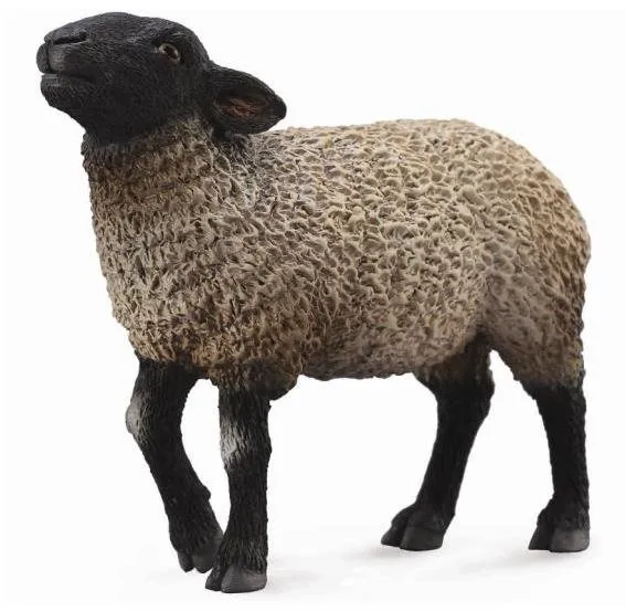 Figúrka Collecta Suffolská ovca