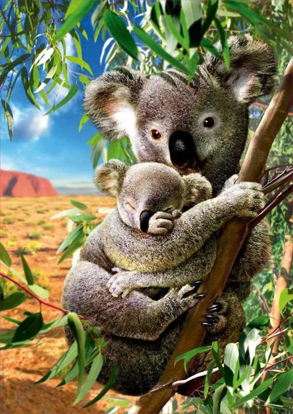 Puzzle Educa Puzzle Koala s mláďaťom 500 dielikov
