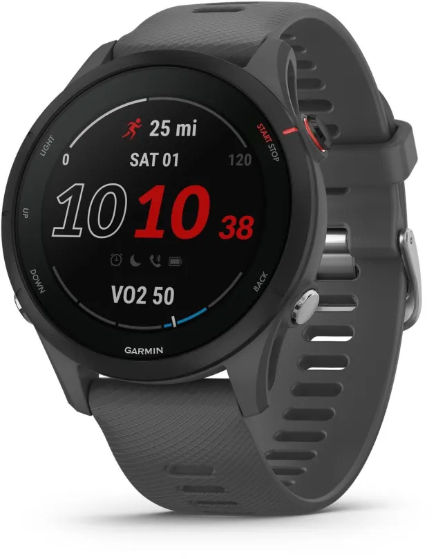 Chytré hodinky Garmin Forerunner 255 Slate Grey