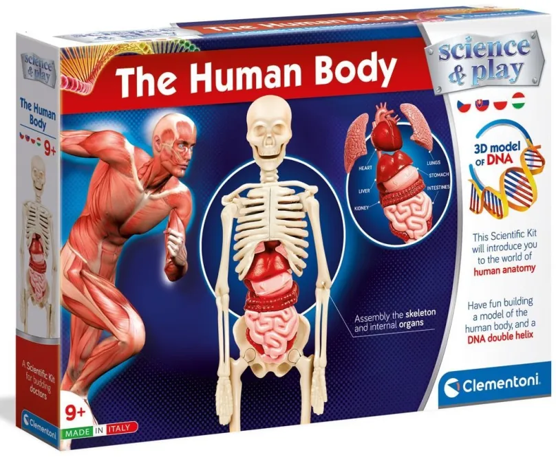 Experimentálna sada Ľudské telo