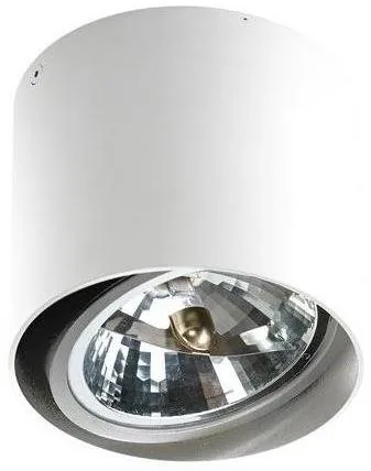 Stropné svetlo Azzardo AZ1356 - Stropné svietidlo ALIX 1xG53/50W/230V/12V