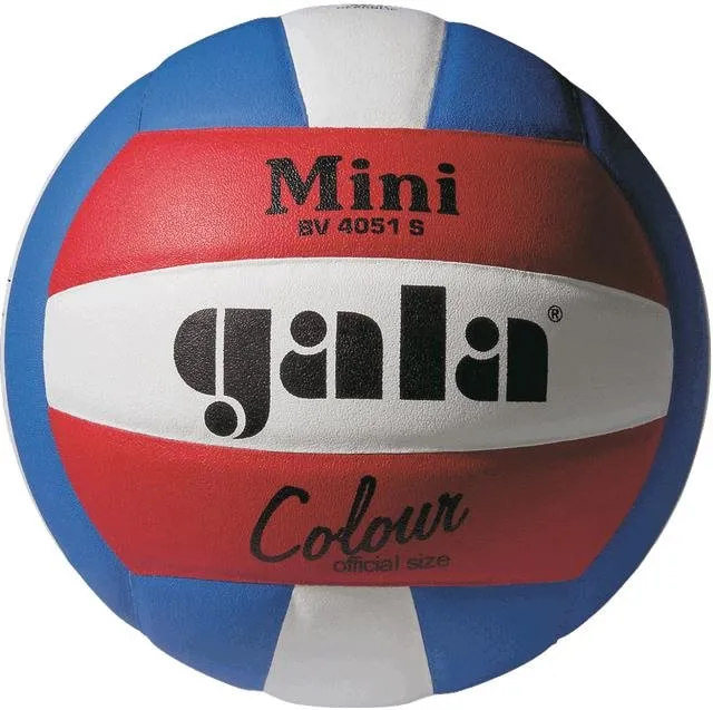 Volejbalová lopta Gala Mini Pro-line BV 4051