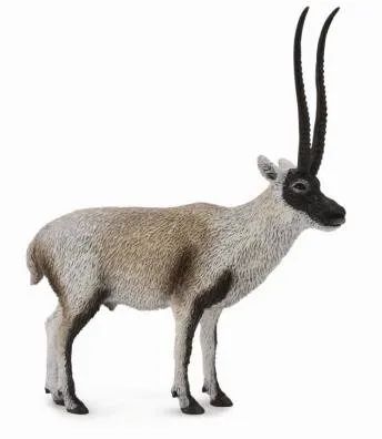 Figúrka Collecta tibetská Antilopa