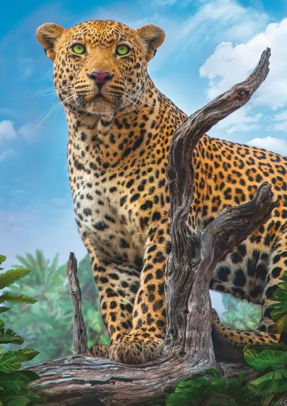 Puzzle Trefl Puzzle Divoký leopard 500 dielikov