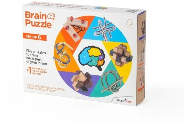Hlavolam Recent Toys Brain Puzzle - sada 6 kusov