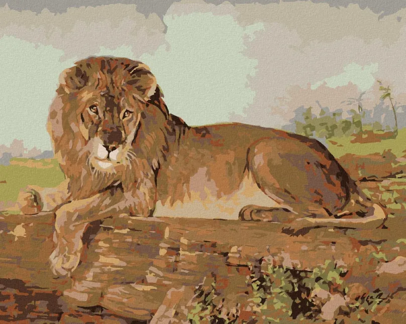 Maľovanie podľa čísel Lev na savane, 40x50 cm, bez rámu a bez vypnutia plátna