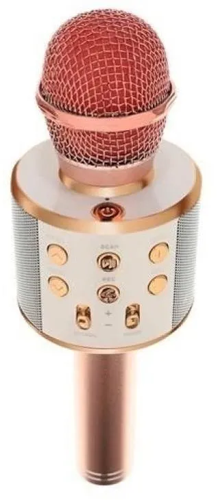 Mikrofón ISO Karaoke mikrofón s reproduktorom Izoxis