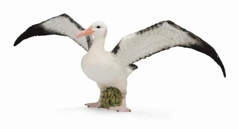 Figúrka Collecta Albatros sťahovavý
