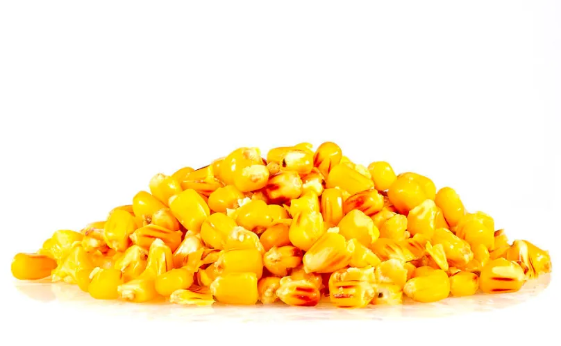 Sportcarp Nakladaná kukurica Sweet Corn 2,5kg