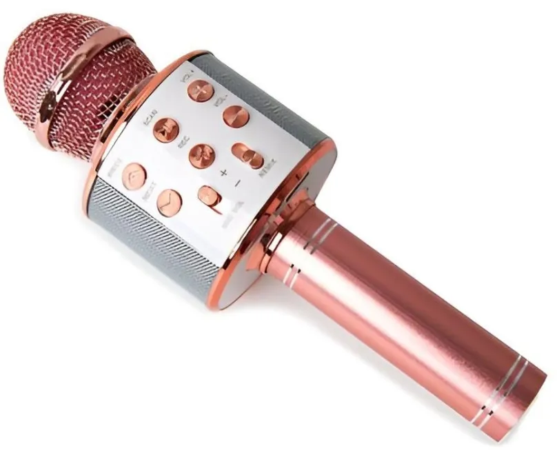 Detský mikrofón Senzanákupy.cz Karaoke mikrofón WS-858