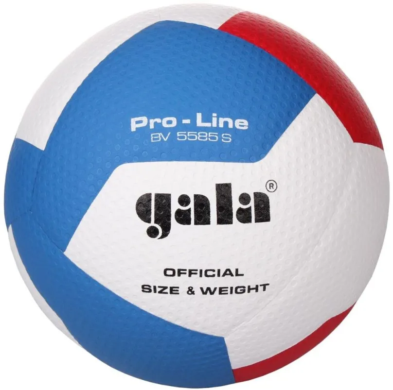 Volejbalová lopta Gala Pro Line 12 BV 5585 S