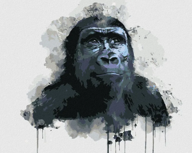 Maľovanie podľa čísel Čierna gorila, 40x50 cm, bez rámu a bez vypnutia plátna