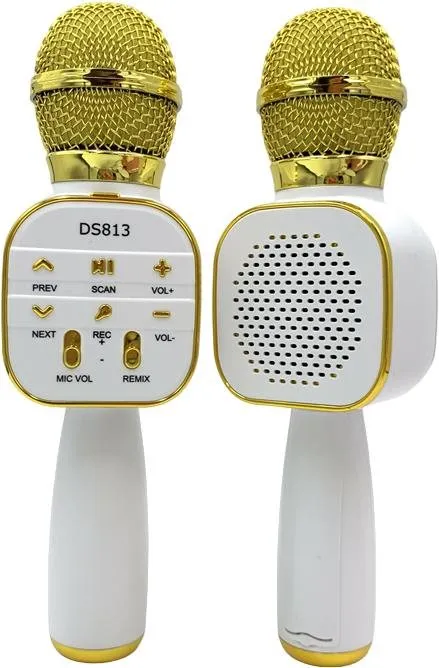 Detský mikrofón Eljet Star Karaoke Gold