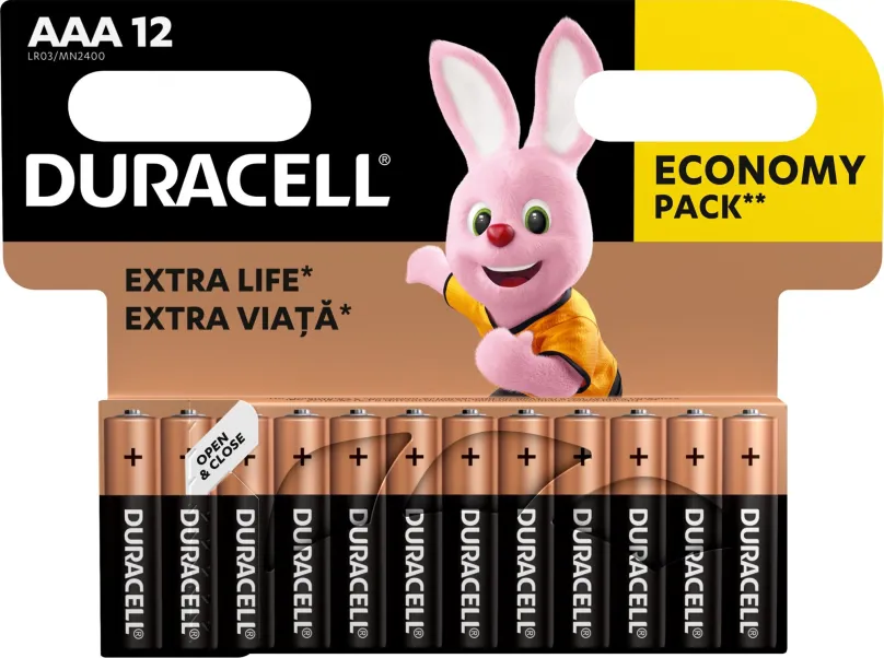 Jednorazová batéria Duracell Basic alkalická batéria 12 ks (AAA)