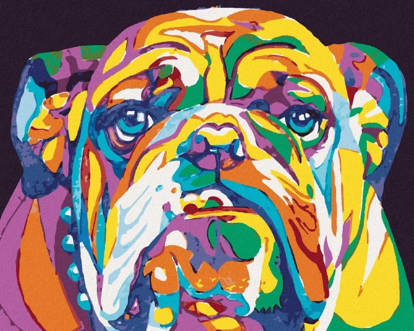 Maľovanie podľa čísel Farebný bulldog, 80x100 cm, vypnuté plátno na rám