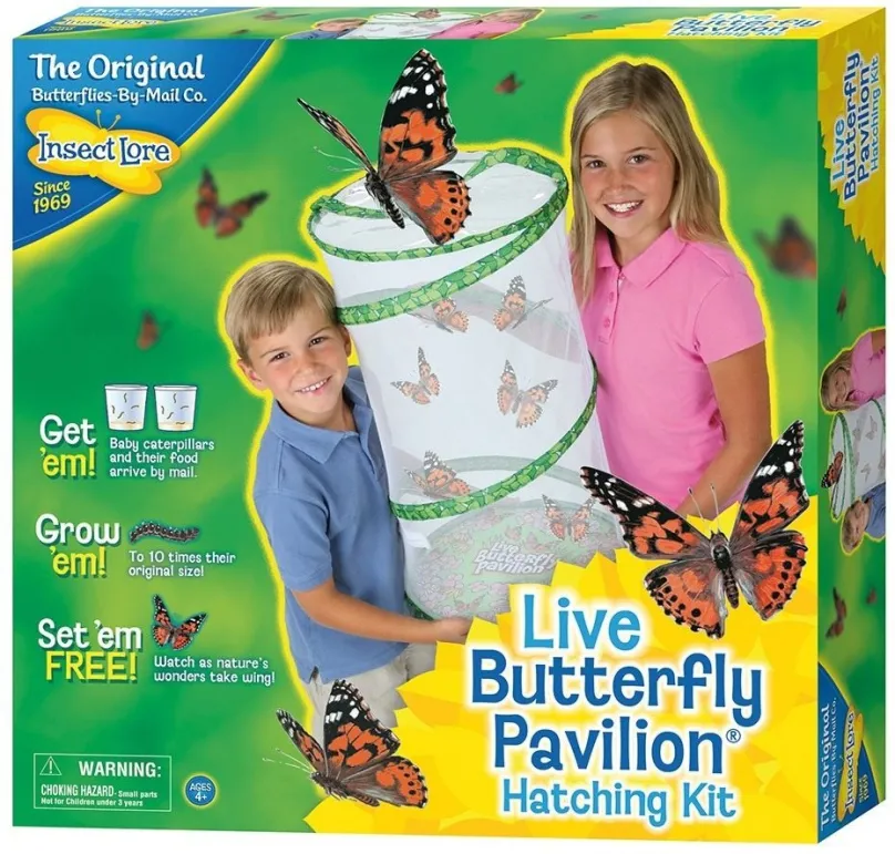 Kreatívna sada Motýlí pavilón pre 6-10 motýlích húseník