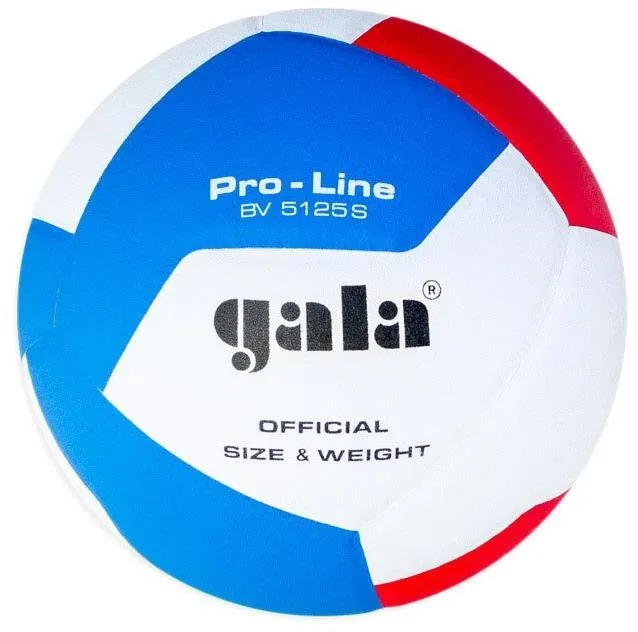 Volejbalová lopta Gala Pro Line 12 BV 5125 S