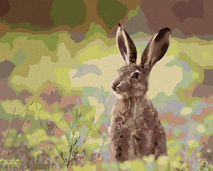 Maľovanie podľa čísel Zajac v tráve, 40x50 cm, bez rámu a bez vypnutia plátna