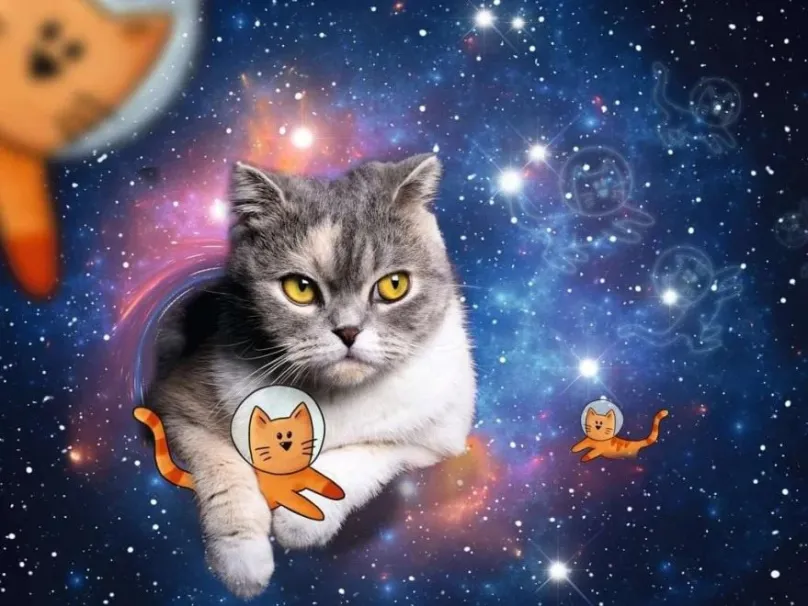 Puzzle Mačka vo vesmíre 1500 dielikov