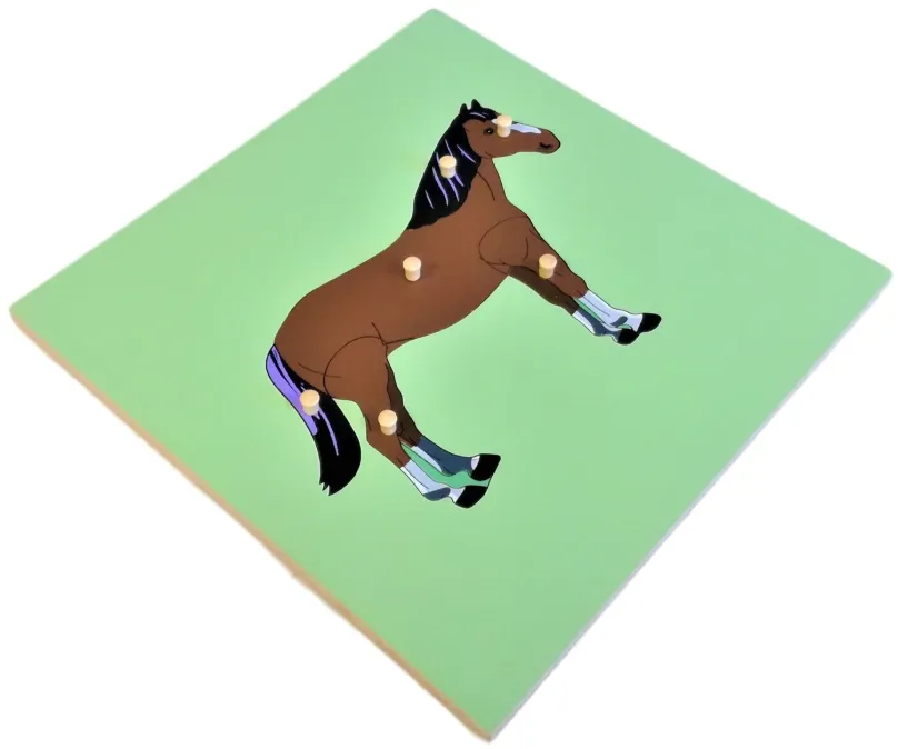 Vkladačka Puzzle s kostrou - kôň