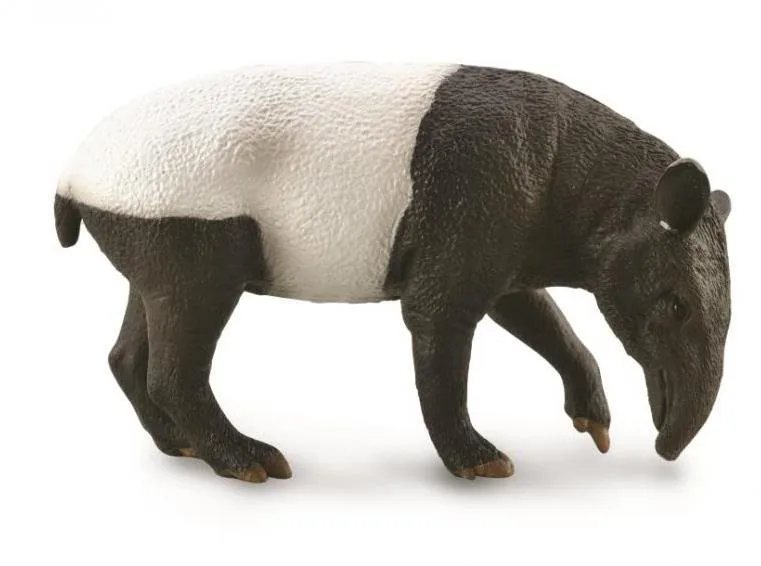 Figúrka Collecta tapír čabrakový