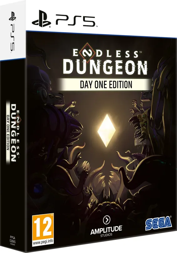 Hra na konzole Endless Dungeon: Day One Edition - PS5