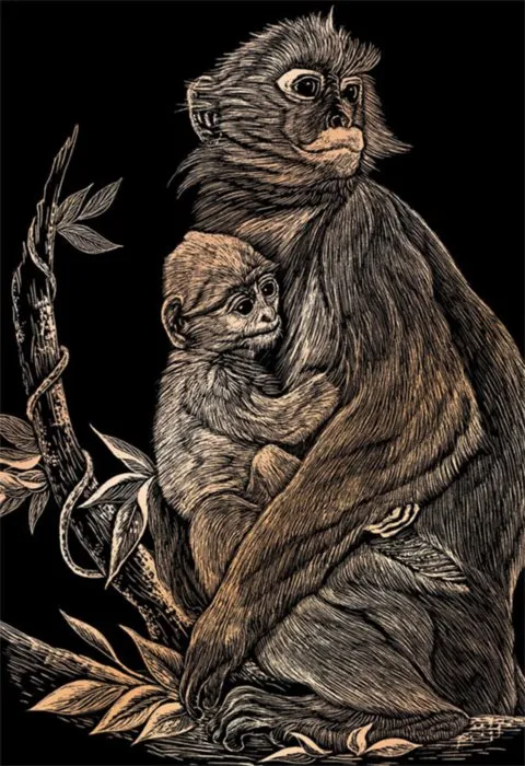 Medený škrabací obrázok Opice s mláďaťom