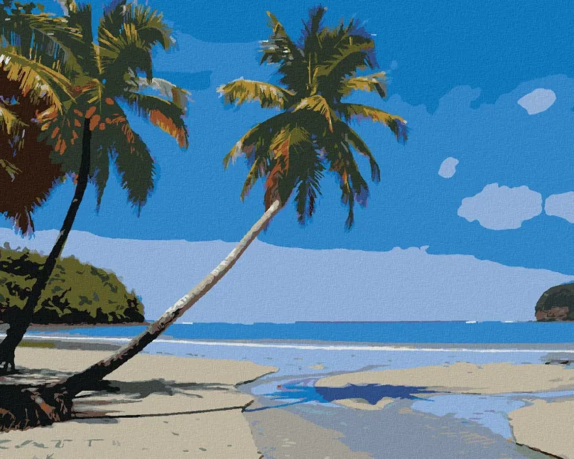 Maľovanie podľa čísel Tropická pláž v Karibiku, 40x50 cm, bez rámu a bez vypnutia plátna