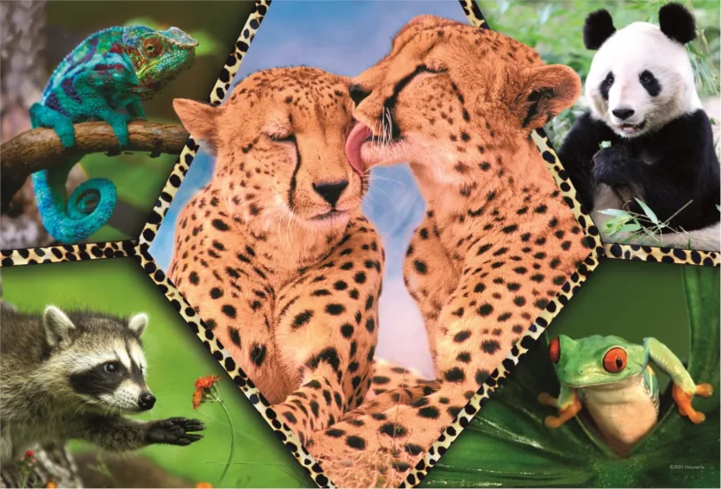 TREFL Puzzle Animal Planet: Krásna príroda 100 dielikov