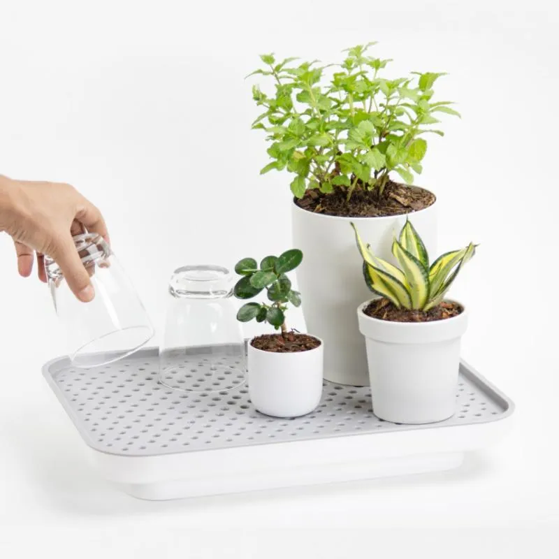 QUALY DESIGN Zavlažovací/odkvapkávací podnos Oasis Tray 10309