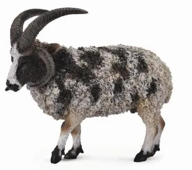 Figúrka Collecta ovce Jákobova