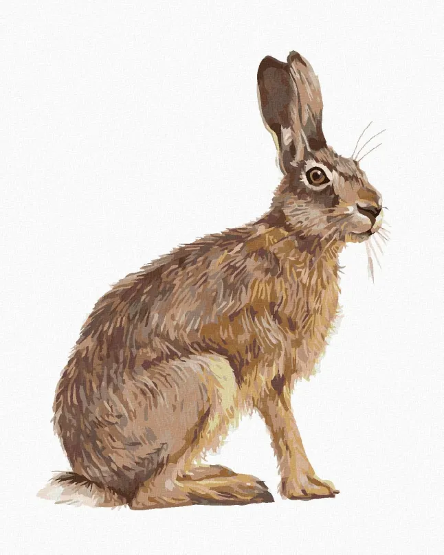 Maľovanie podľa čísel Sediaci zajac, 40x50 cm, bez rámu a bez vypnutia plátna