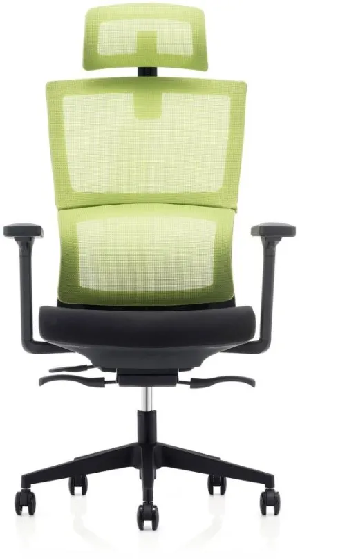 Kancelárska stolička DALENOR Grove, ergonomická, sieťovina, čierna / zelená
