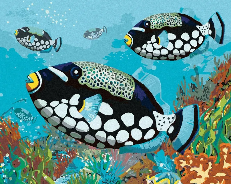 Maľovanie podľa čísel Čierne rybky, 40x50 cm, vypnuté plátno na rám