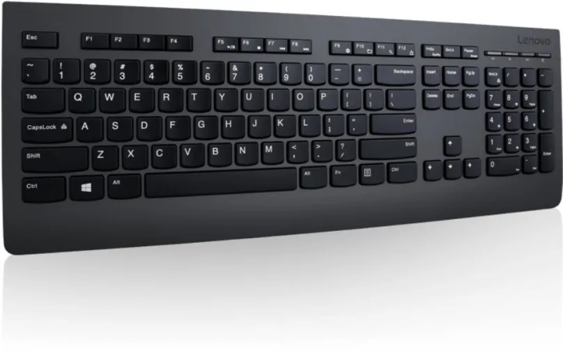 Set klávesnice a myši Lenovo Professional Wireless Keyboard and Mouse - SK, bezdrôtový, sl