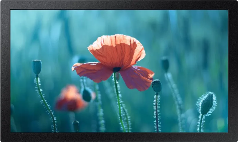 LCD monitor 13 "Samsung QB13R