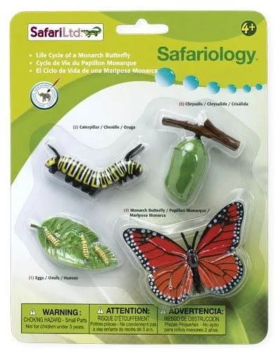 Anatomický model Safari Ltd. Životný cyklus - Motýľ