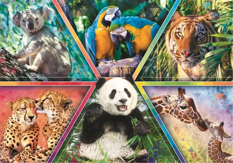 Puzzle Trefl Puzzle Animal Planet: Kráľovstvo zvierat 1000 dielikov