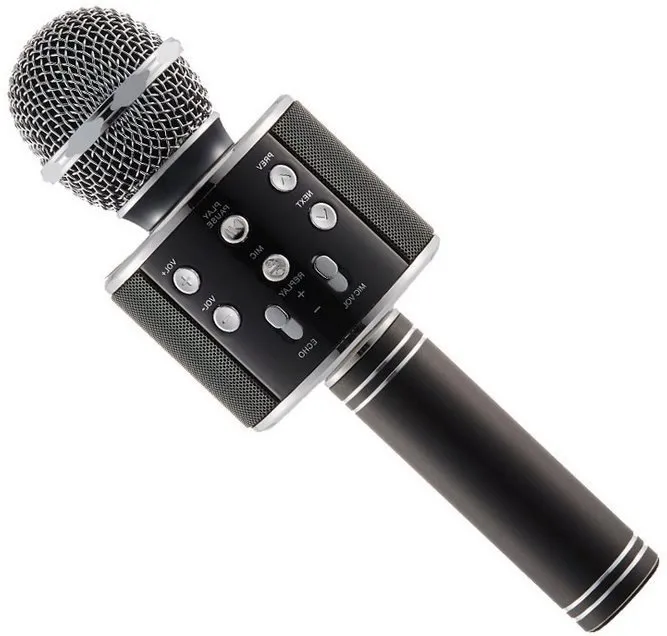 Detský mikrofón Karaoke mikrofón Eljet Globe Black