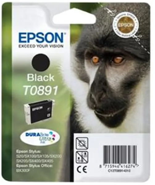 Cartridge Epson T0891 čierna