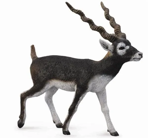 Figúrka Collecta antilopa jelenia